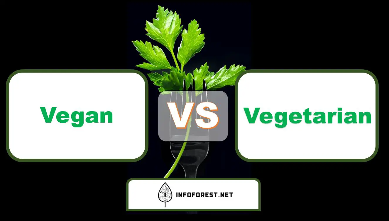 Vegan vs Vegetarian