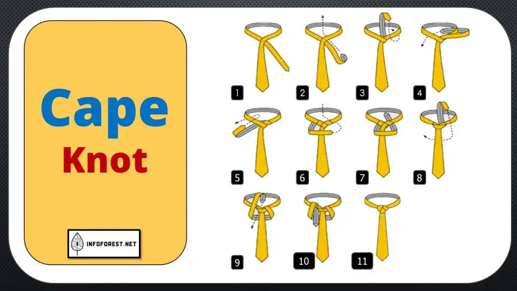 Cape knot 