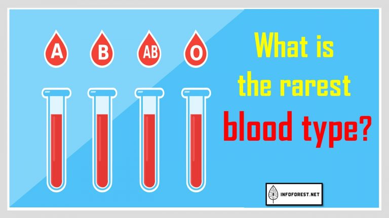 What is the rarest blood type