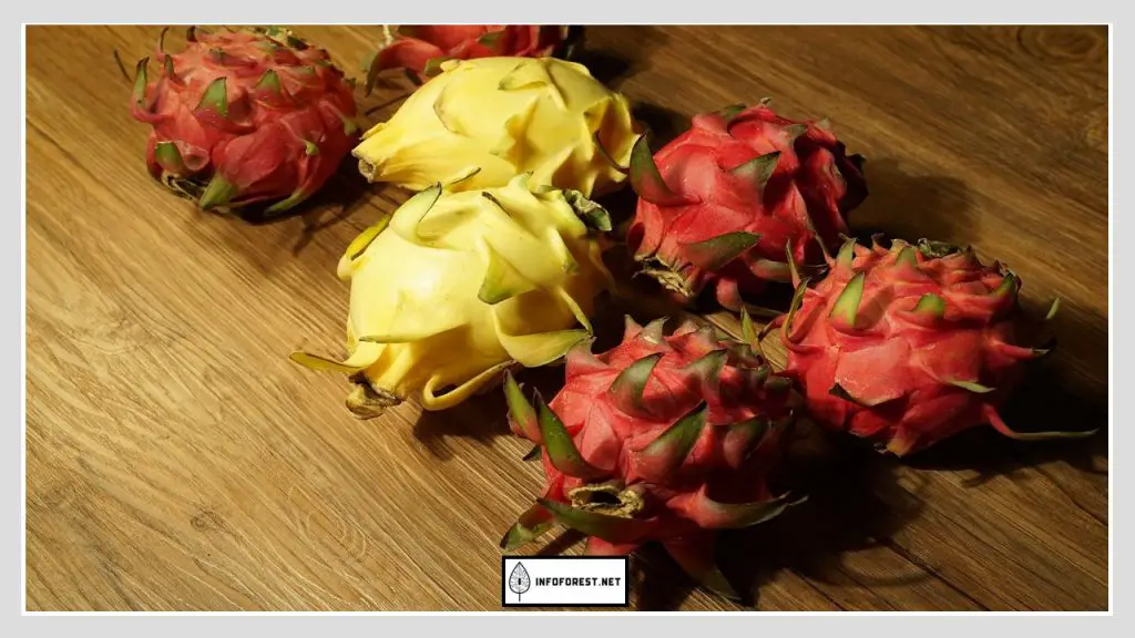 What Is Dragon Fruit