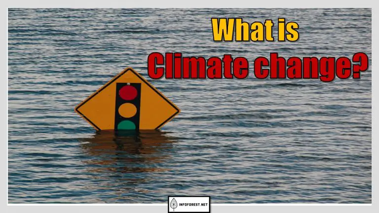 What is Climate change