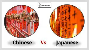 Differences Between Chinese and Japanese