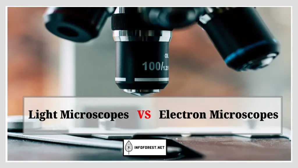 Difference Between Light and Electron Microscopes