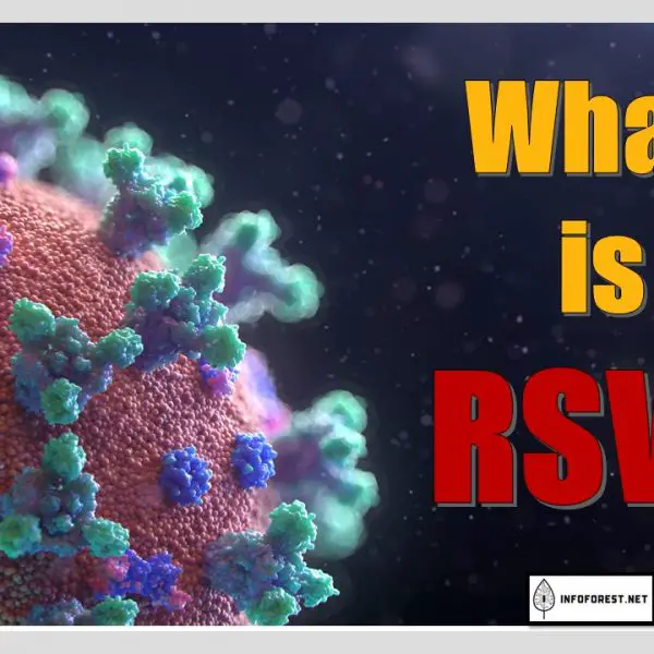 What is RSV