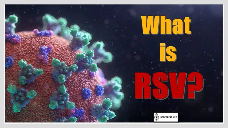 What is RSV